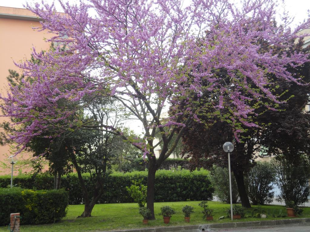 Cisanello House Hotel ปิซา ภายนอก รูปภาพ