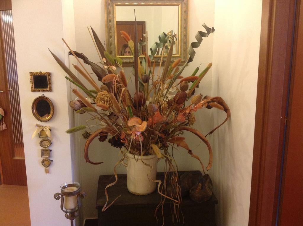 Cisanello House Hotel ปิซา ภายนอก รูปภาพ